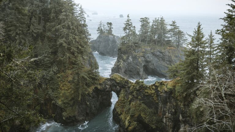 Luftaufnahme einer deutschen Kleinstadt mit grünen Vororten