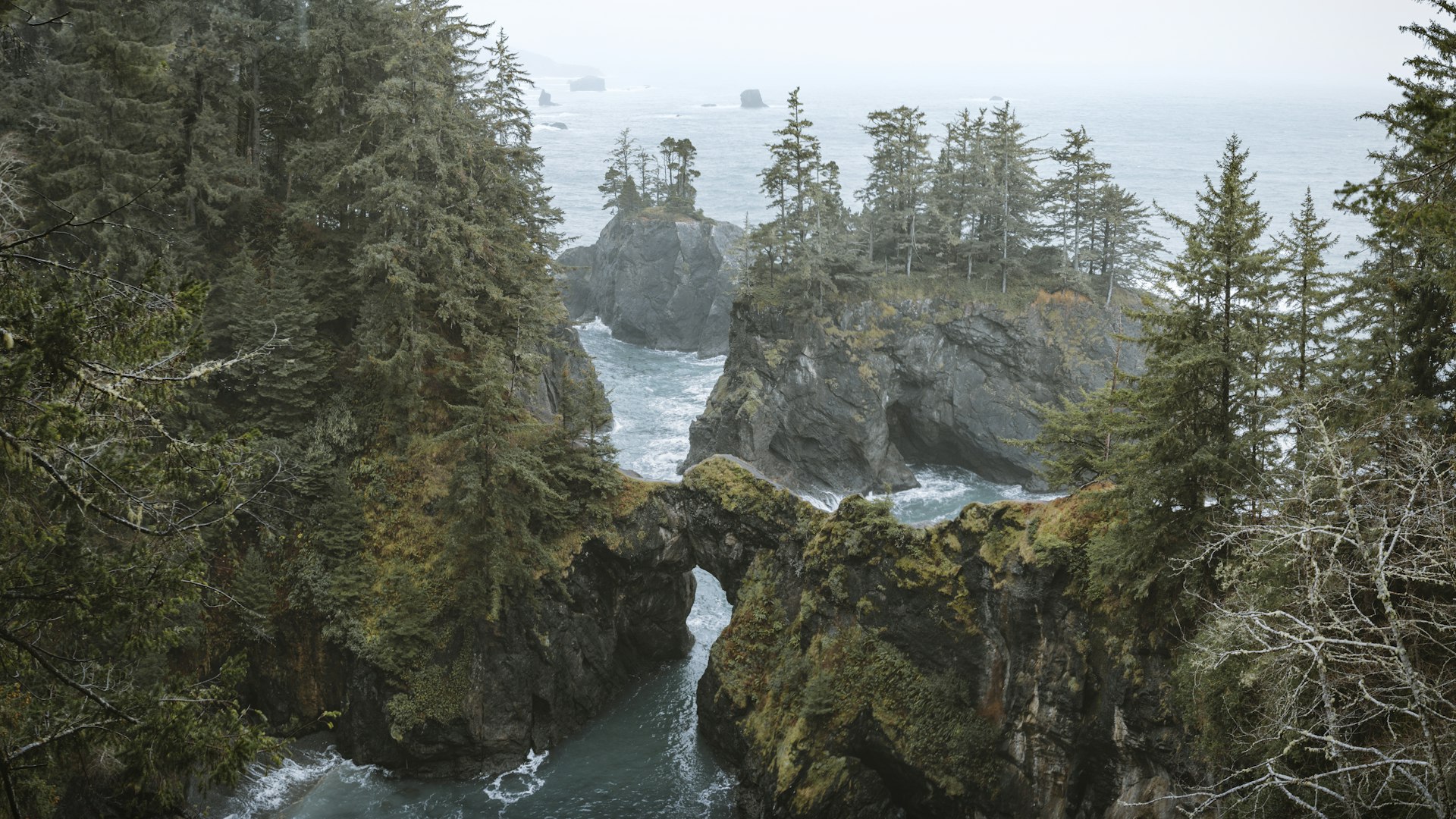 Luftaufnahme einer deutschen Kleinstadt mit grünen Vororten